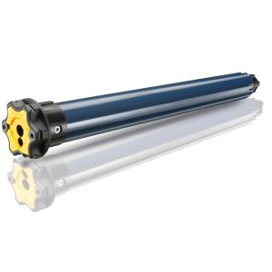 Somfy Rs100 IO